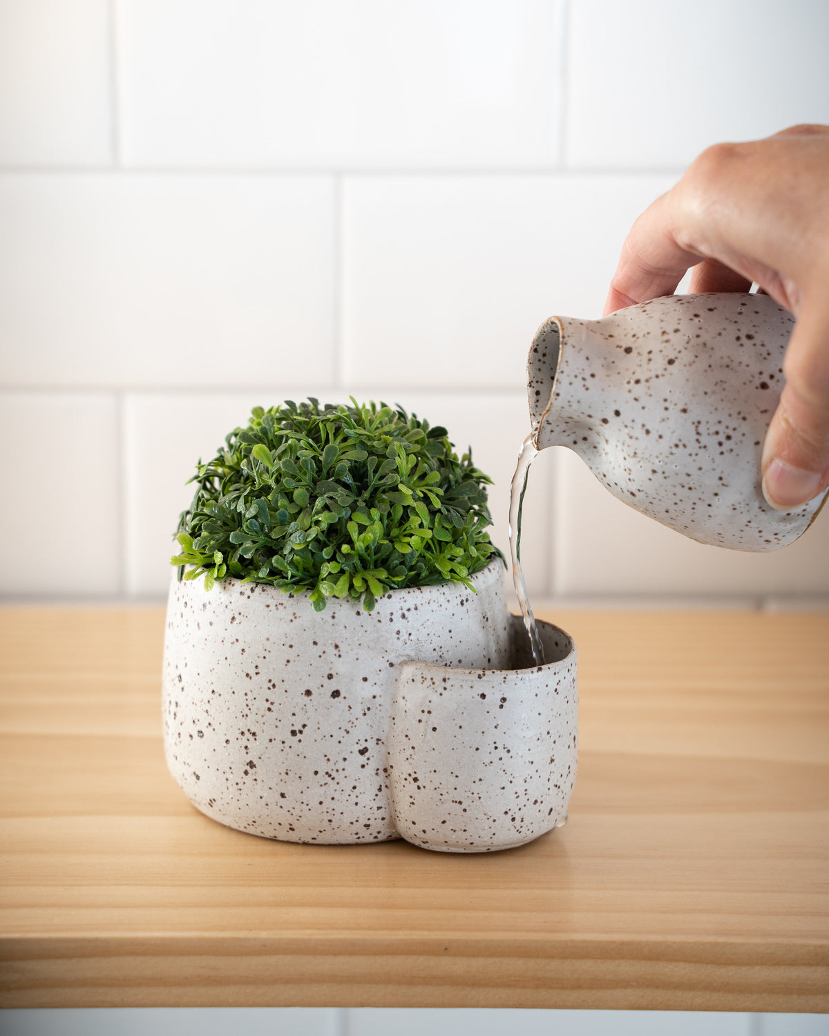 Ceramic Planter with Watering Pocket